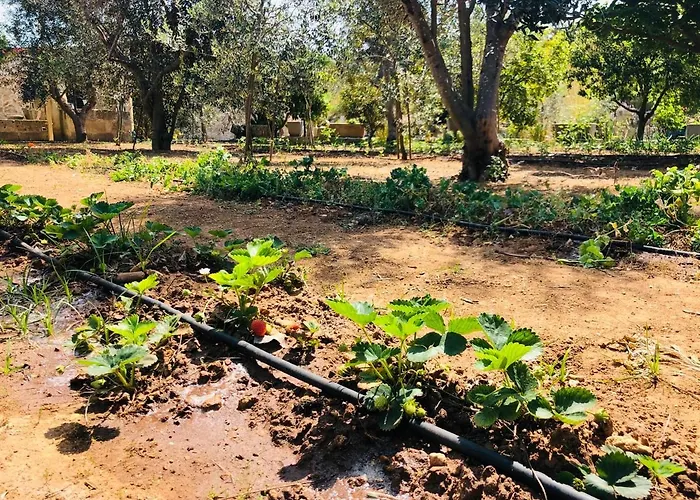 Il Giardino Degli Angeli