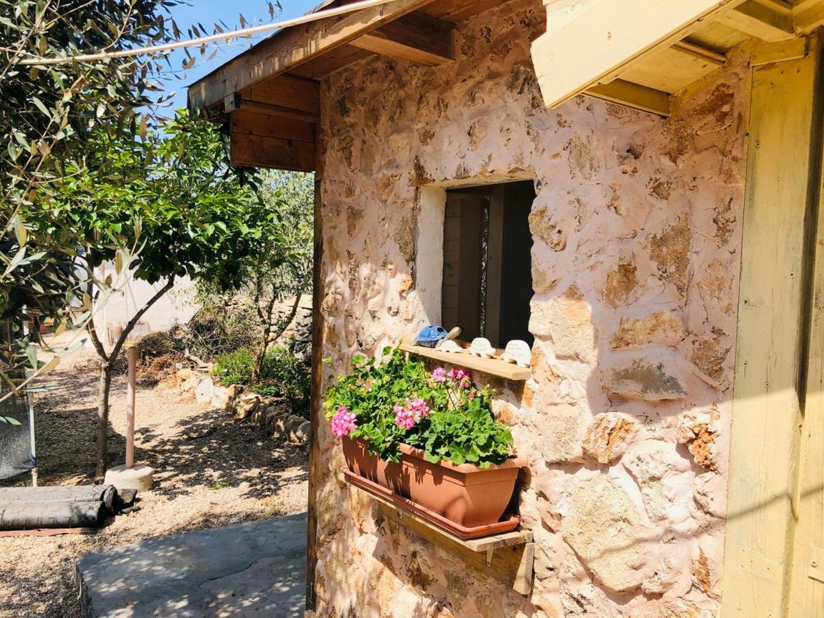 Casa de Férias Il Giardino Degli Angeli *
