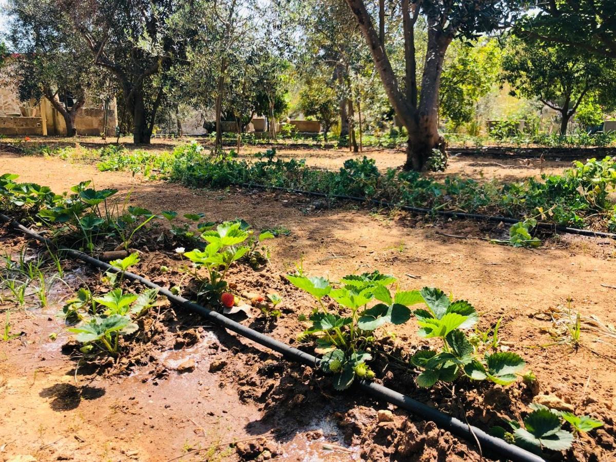 Casa de Férias Il Giardino Degli Angeli Presicce